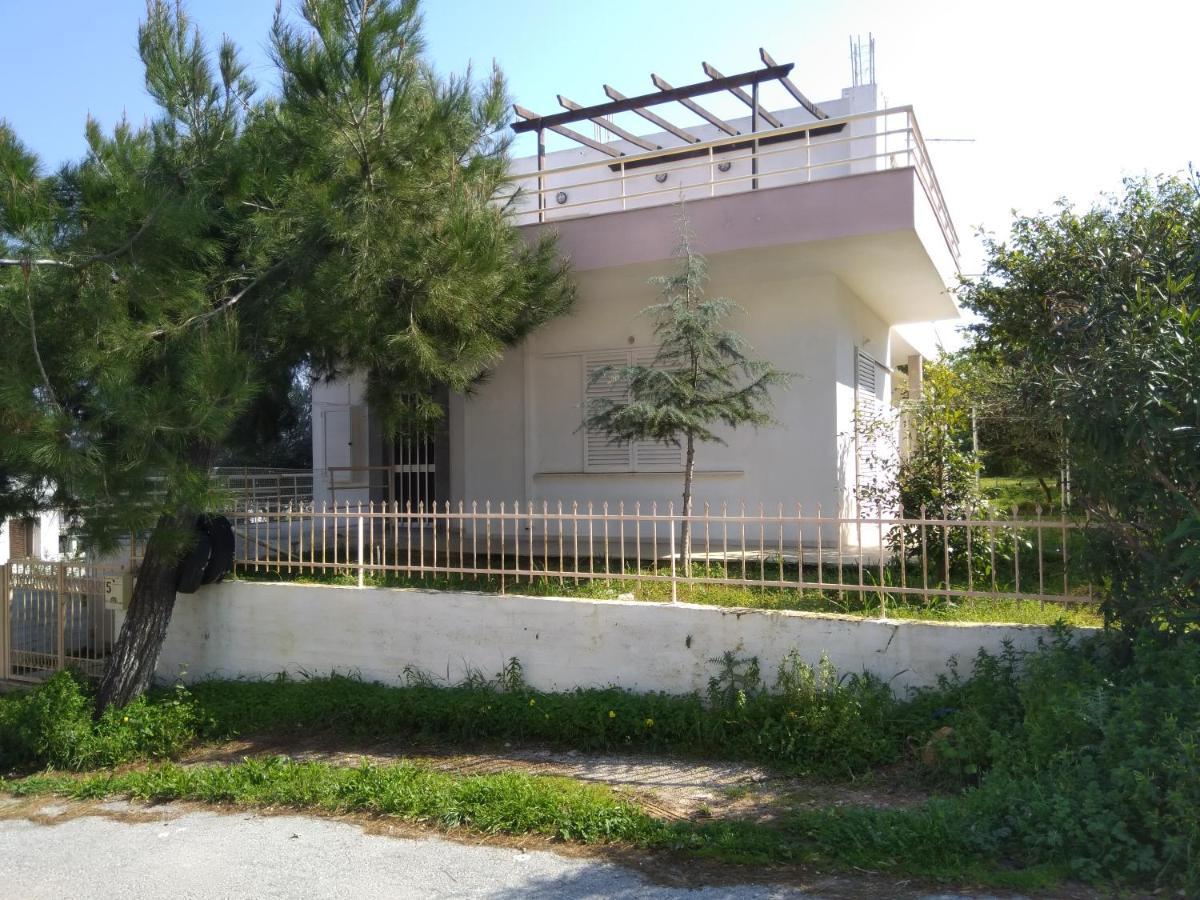 Thanasis Villa Kounoupidhianá 外观 照片